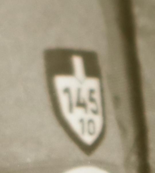 altes Glasnegativ - Portrait Soldat und R.A.D. Mann  Abteilung 145/10